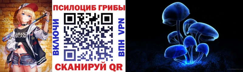 Псилоцибиновые грибы Psilocybine cubensis Лебедянь